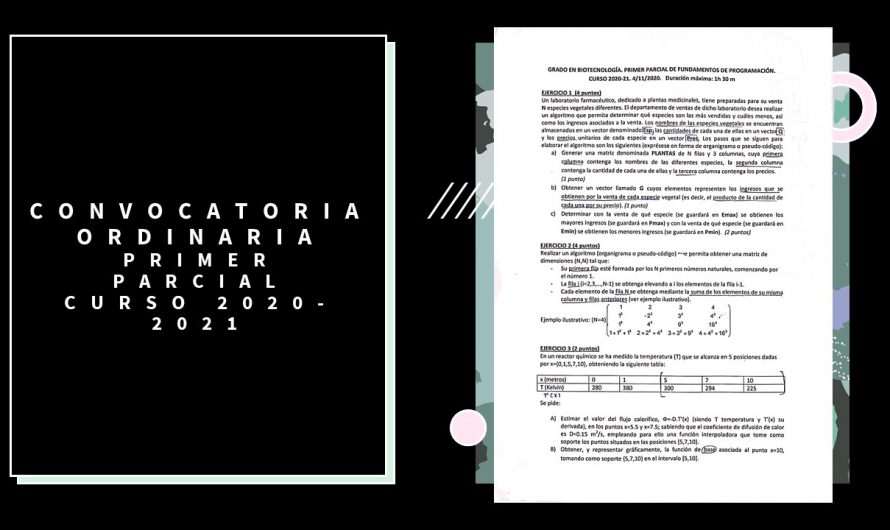 Primer Parcial – Curso 2020-2021